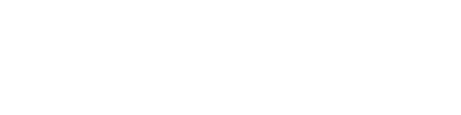 Logo Double V.